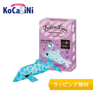 KoCaLiNi(RJj) CJymubN mߋ ubN 8 9 w lC pY NX}X v[g z