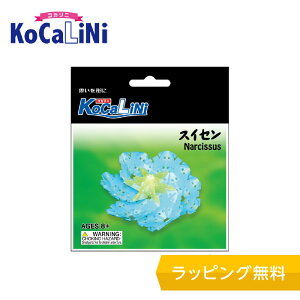 KoCaLiNi(RJj) XCZymubN mߋ ubN 8 9 w lC pY NX}X v[g z