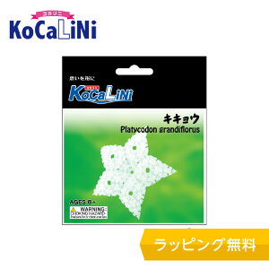 KoCaLiNi(RJj) LLEymubN mߋ ubN 8 9 w lC pY NX}X v[g z