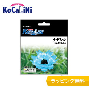 KoCaLiNi(RJj) ifVRymubN mߋ ubN 8 9 w lC pY NX}X v[g z