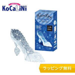 KoCaLiNi(RJj) KX̌CymubN mߋ ubN 8 9 w lC pY NX}X v[g z