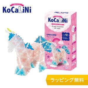 KoCaLiNi(RJj) jR[ymubN mߋ ubN 12 13 w lC pY NX}X v[g z