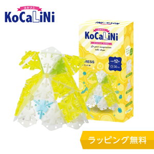 KoCaLiNi(RJj) hXymubN mߋ ubN 12 13 w lC pY NX}X v[g z