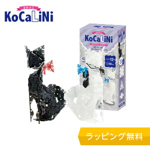 KoCaLiNi (RJj) LymubN mߋ ubN 8 9 w lC pY NX}X v[g z