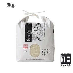 yFXz}CX^[ĂTVށIS @򕌁@̓@1kg@2kg 3kg 10kgyߘa7NYzj@z@A@Ԃ yYyVzTCY