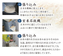 五ツ星お米マイスター「お仕立て米」シリーズ『華』はな10kg(10kg×1袋)【コシヒカリ】【ひとめぼれ】【つや姫】【はえぬき】【一部送料無料】【楽ギフ_のし】