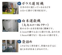 五ツ星お米マイスター「お仕立て米」シリーズ『華』はな10kg(10kg×1袋)【コシヒカリ】【ひとめぼれ】【つや姫】【はえぬき】【一部送料無料】【楽ギフ_のし】