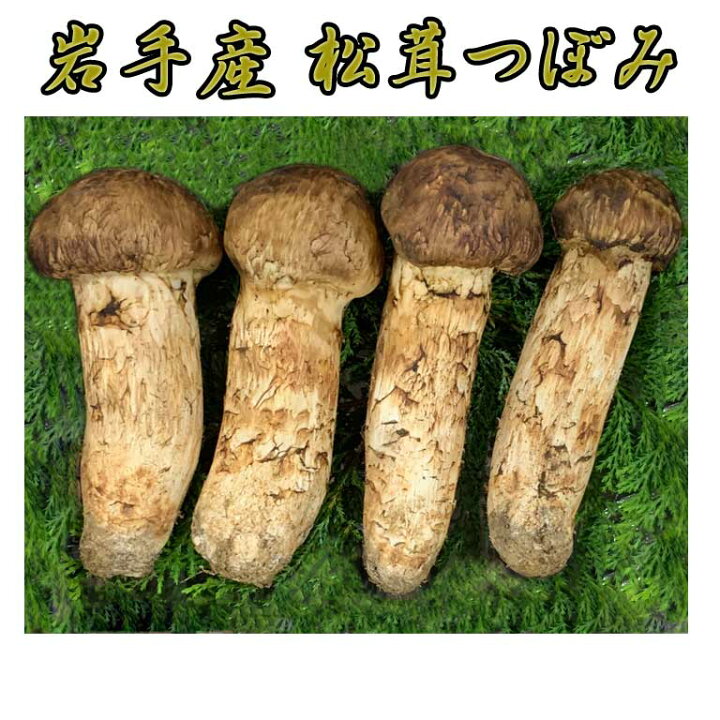 楽天市場】岩手産 松茸 つぼみ約200g 毎朝の競によって仕入れている為 