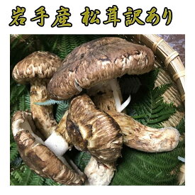岩手産 松茸 訳あり約400g 毎朝の競によって仕入れている為、価格変動があります。まつたけ マツタケ 国産まつたけ 松茸ひらき 開き 裂け 割れ