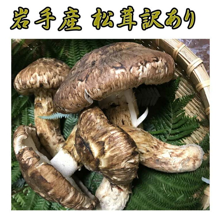 楽天市場】岩手産 松茸 訳あり約400g 毎朝の競によって仕入れている為 