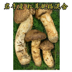 岩手産 松茸 規格混合約200g毎朝の競によって仕入れている為、価格変動があります。まつたけ マツタケ 国産まつたけ 松茸ツボミ 大小 曲がり 開き ひらき まがり