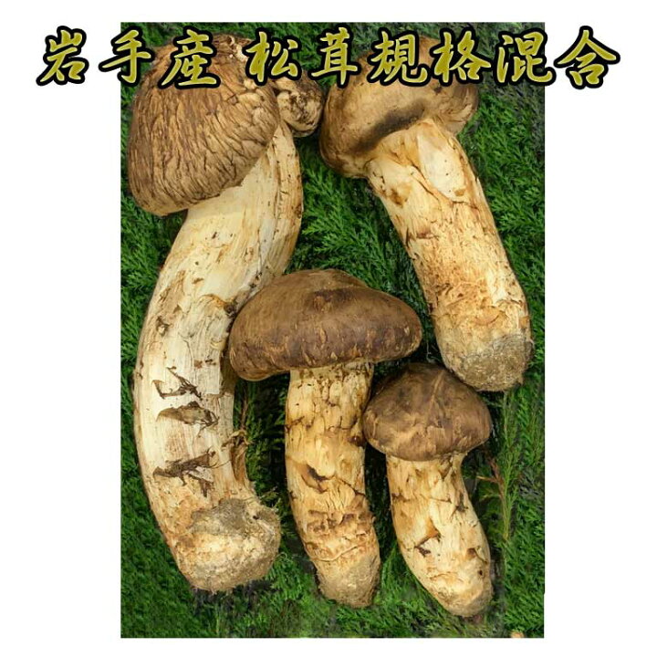 楽天市場】岩手産 松茸 規格混合約400g 毎朝の競によって仕入れている  