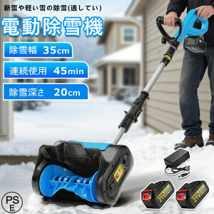 y2025ŐVo zd@ @ Ⴉ@ Ⴉ R[hX [d ƒp ᕝ32cm ፂ18cm  dXRbv Vx ^ pi Vx y ֗ Ⴉp XRb