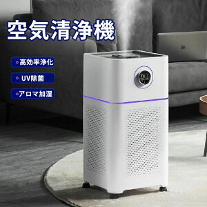 【2年保証】加湿器 空気清浄機 ペット ダニ対策 空気清浄機 循環気流 脱臭 ウイルス対策 黄砂 PM2.5 花粉対策 タバコ ペット ホコリ ニオイ 脱臭 PM2.5 菌 2025 小型 かわいい