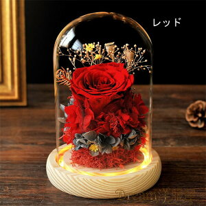 vU[uht[ KN@KXh[ ̓ v[g ͂Ȃ  aMtg o [Y uU[uht[ Mtg TvCY v[g KN LEDCgt ỉ 