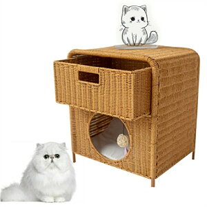 L xbh [ PP҂ oXPbg ^ lGp ybgxbh ˒I^ LnbN ybgxbh L畗 ybg}bg nMO`FA ܂ƂΉ 􂦂 ې􂢉\