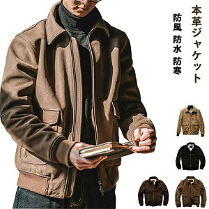 {vWPbgYWPbg tCgWPbg U[WPbg vW {v vWPbg U[R[g Y ̓ i h h h 傫TCY TC