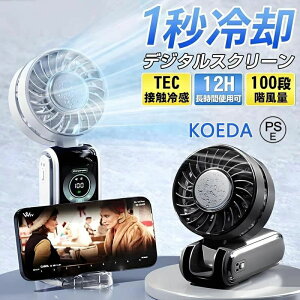 _ 25880~^yԌőP10{z 2025 @ 莝 ^ 100iK Type-c[d pv[g LEDfW^\ nfBt@ É 啗 ˊO gѐ@ ߓd y GAR ΍ usb