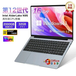 yeSSDNzm[gp\R Vi 12Ce ݒς 2024Nf Vi p\R 𑜓xIPSt Core Celeron N95 32GB SSD1TB p\R { WebJ wF WI