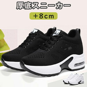 Xj[J[ fB[X Xj[J[ fB[X nCJbg Xj[J[ Cq[ fB[X ʋC a Mtg v[g Ci[f