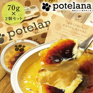 k̃nCO[hHi+2016܁ v J^[i `ZăvACX` |e[ibJiC 2 Zbg y Mtg z( XC[g|eg N[u Mtg j oYj 