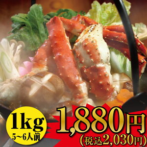 󂠂 ^oKj IpJbgς݁{ΊIirE_LE܁j1kg (5`6lO)( ΂ ^oJj  Mtg 킯 ɂ ɓ Zbg ɓ Jj ʔ y