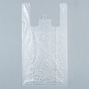 H C[W[obO ݑ M i1000j