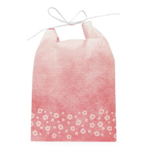 ATqpbN ЂtJ[Ntgđ ~jN ߁i2`3pj (100)