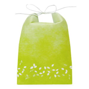 ATqpbN ЂtJ[Ntgđ ~jN 킩i2`3pj (100)