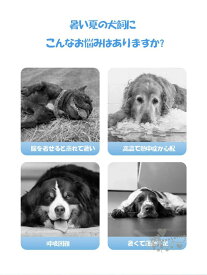 犬服 クールベスト 熱中症対策 犬クールベスト 犬用夏服 冷感 冷却ベスト ハーネス 気化熱 ひんやり 通気 小中大型犬 夏用