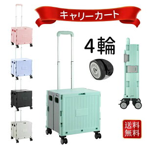L[J[g ܂肽 4 J[g y  t^t É^C VbsOp  AEghA Lvp RpNgL[J[g 2փLX^[t ReiJ[g ܂