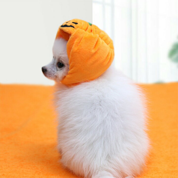 ハロウィン ペット 犬 猫 かぼちゃ 被り物 帽子 Sサイズ 写真映え