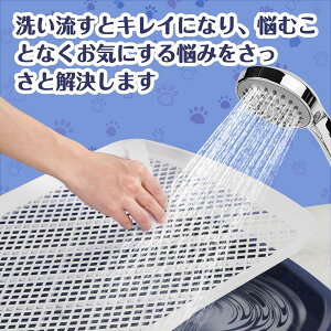 pgC ybggC ^ ybg bV gC pgCg[ ~ ybgpi gC 65cm×50cm ̃gC g[jO ȒP R }[LO|[t