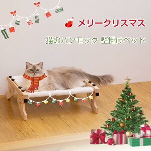 Lp nbN Lxbh 2Way ؐ Lpxbh ݂艺 ω׏d20kg  | gȒP  u O\ ʋC ߉\ ȒP lGΉ Oɂ 􂦂 xbh L