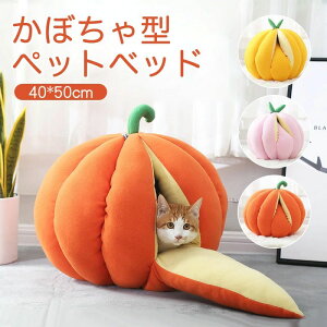 yz킢ڂfUC^ybgxbh J{`^ L xbh ybgnEX LbgnEX h[^ t H ~ p H~p _炩 nEB ΍ NbV }