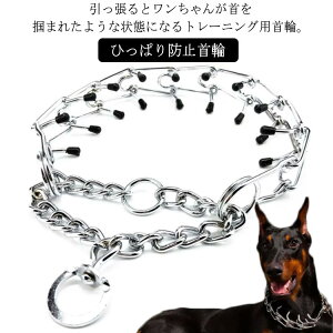  h~   P g[jO  Ck  p Ђςh~ ih~ ybg g[jO `F[ SLbvt ^ ^ ^ pi U S 