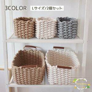 [oXPbg 2Zbg [ [{bNX [P[X [v҂ [voXPbg [v ҂ ҂ݍ 킢  [ 