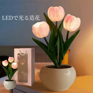 y|Cg5{z `[bv  Mtg LEDv |bg    eNX`  p[eB[ Be p z[ 뉀 Lb` ItBX i p[eB[   lHA