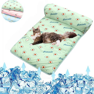 ėp ybgp ⊴V[c Ђ ybgxbh ybg ėp xbh}bg ^ Lp⊴V[c ڐG⊴ Rȗ Rh~ ~ /Op Ă̏΍ h L  J