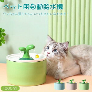 ybg ybg  Z~bN  L ݊ CX R[hX ZT[ ybg  Z~bN CX R[hX ZT[  L 