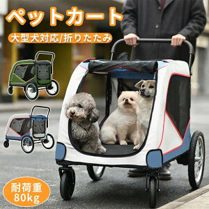 ^ J[g ybgJ[g ^   J[g p ܂ ^b` 4  oM[ p ܂肽 a^C pxr[J[  J[g  ybg oM[ gȒP 