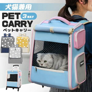 yeʁzybgobO L[obO L[P[X LX^[t  ЊQ ybgP[X  ybgL[obO ybgbN ^ L[ bV ybgP[X 