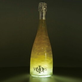 【LED付きでリニューアル！】ヴィヴィウス シトラス 750ml VIVUS