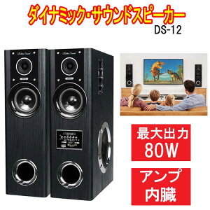 _Ci~bNETEhXs[J[@DS-12@N}ULGC@Av^[Xs[J[ őo80W ^[Xs[J[@{