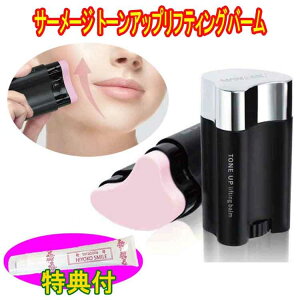 T[[Wg[AbvteBOo[ 22g@ێN[100gTt@  GCWOPA et @{