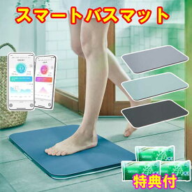 スマートバスマット　issin 体重計モデル 洗剤JOE30g×3個特典付　珪藻土 バスマット体重計