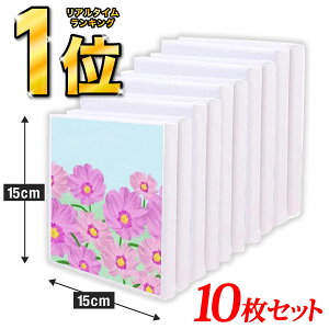 \楽天ランキング1位!/キャンバス 画布 カンバス 木枠付き 油彩 アクリル 水彩画 アクリル画 油彩画 油絵 綿製 純綿 正方形 スクエア型 10枚セット 張りキャンバス キャンバスボード キャ