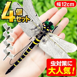 _2,330r[˔jI^Ij}  12cm ɂ tBMA St A g{ 悯 ΍ Sst Xgbvt ނ Ro Lbv O 悯͌^  