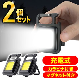 ＼3,894件レビュー突破！2個セット／ 懐中電灯 COB ライト ミニライト ミニ投光器 TypeC 作業灯 投光器 充電式 高輝度 800lm マグネット式 USB充電 屋外 防水 小型 カラビナ せん抜き キャンプ COBライト 三脚 軽量 アウトドア 非常用 防災グッズ キーホルダー 防災ライト BB