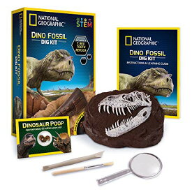 アウトレット品 NATIONAL GEOGRAPHIC 恐竜化石掘りキット T.Rexの歯のレプリカを掘り上げる 本物の恐竜コプロライ